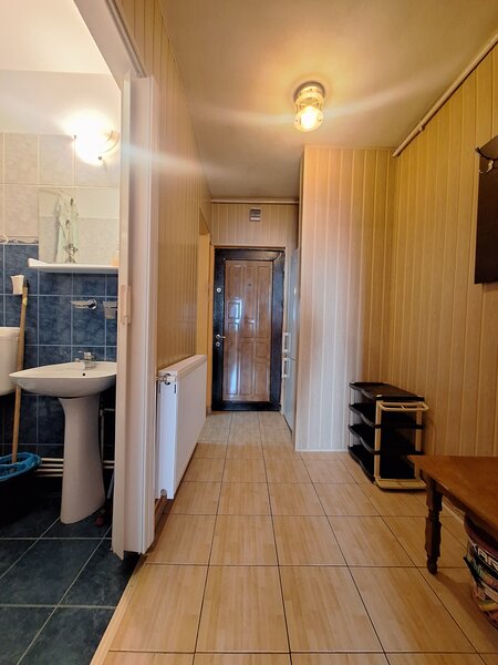 Titan, Constantin Brancusi,