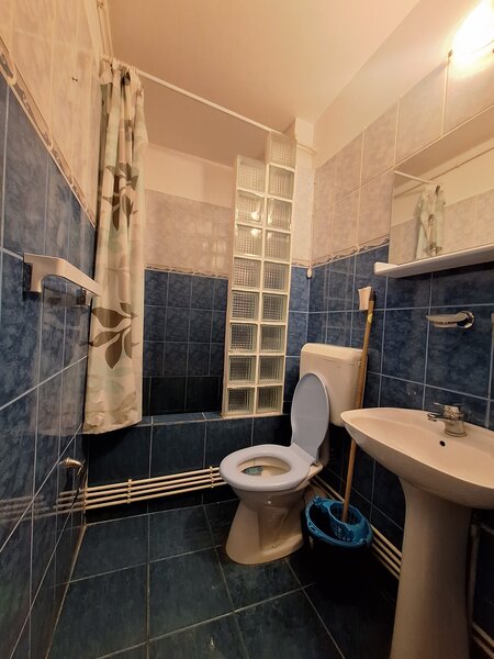 Titan, Constantin Brancusi,