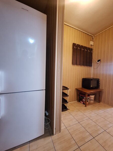 Titan, Constantin Brancusi,